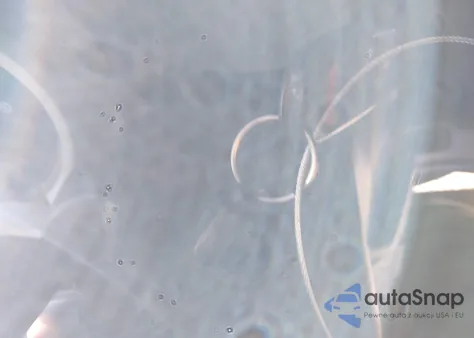 2008 Honda Element Ex из США, поврежденный, VIN 5J6YH28778L016452